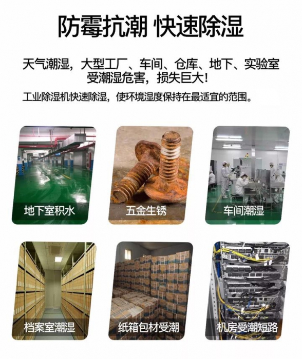 新风杏仁直播app最新版下载 全屋新风除湿