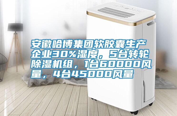 安徽哈博集团软胶囊生产企业30%湿度，5台转轮杏仁直播app最新版下载组，1台60000风量，4台45000风量