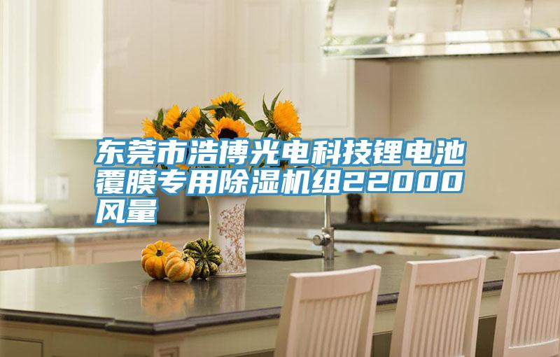 东莞市浩博光电科技锂电池覆膜专用杏仁直播app最新版下载组22000风量