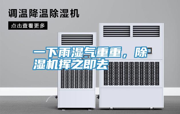一下雨湿气重重，杏仁直播app最新版下载挥之即去