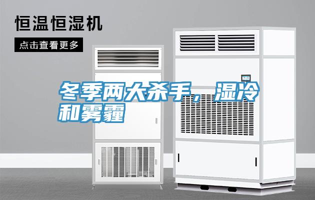 冬季两大杀手，湿冷和雾霾