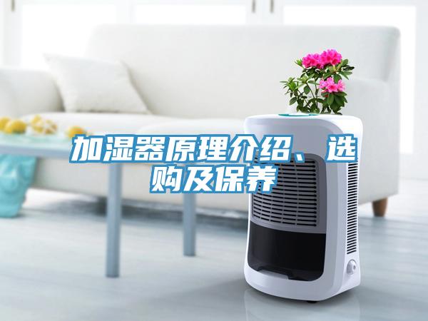 加湿器原理介绍、选购及保养