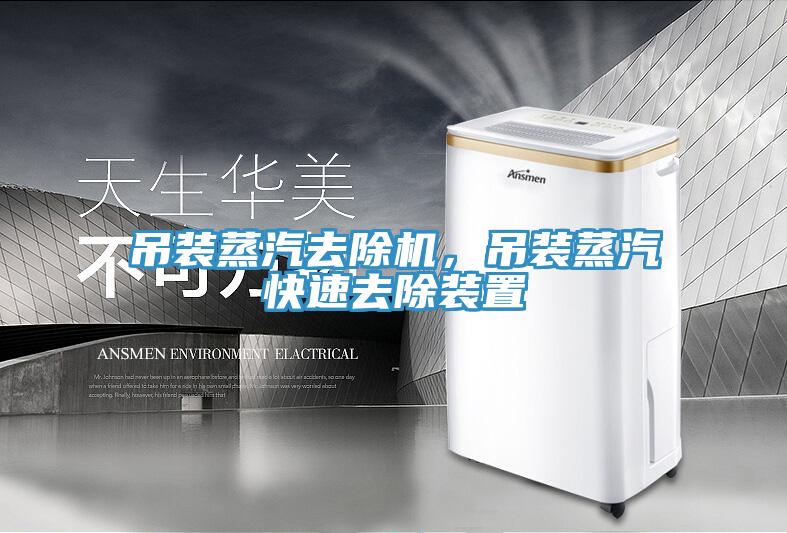 吊装蒸汽去除机，吊装蒸汽快速去除装置