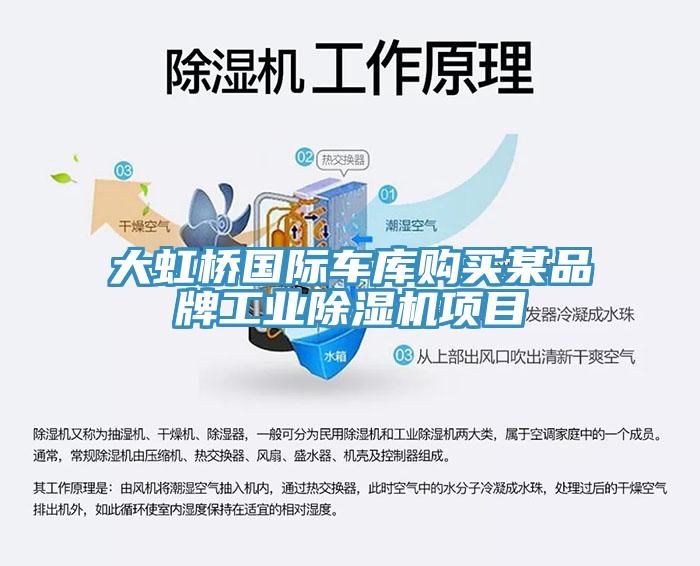 大虹桥国际车库购买某品牌工业杏仁直播app最新版下载项目