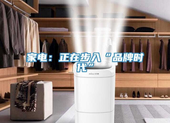 家电：正在步入“品牌时代”