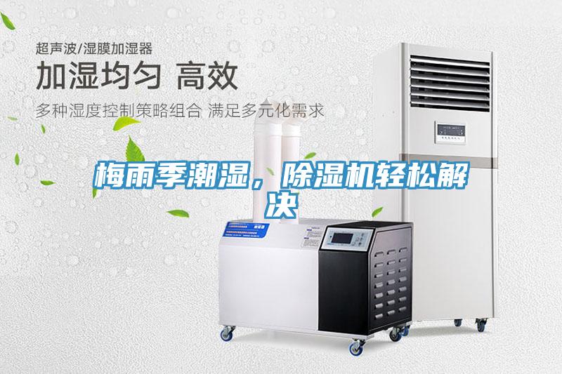 梅雨季潮湿，杏仁直播app最新版下载轻松解决