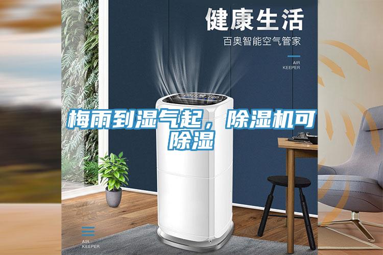梅雨到湿气起，杏仁直播app最新版下载可除湿