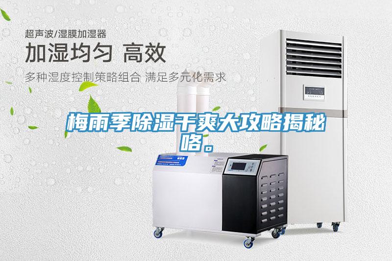 梅雨季除湿干爽大攻略揭秘咯。