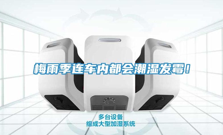梅雨季连车内都会潮湿发霉！