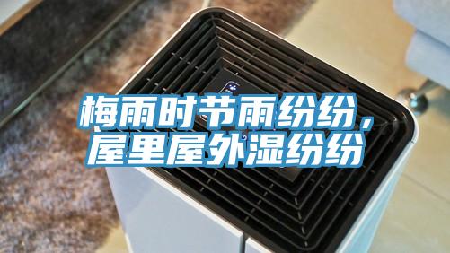 梅雨时节雨纷纷，屋里屋外湿纷纷