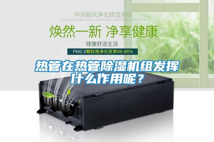 热管在热管杏仁直播app最新版下载组发挥什么作用呢？