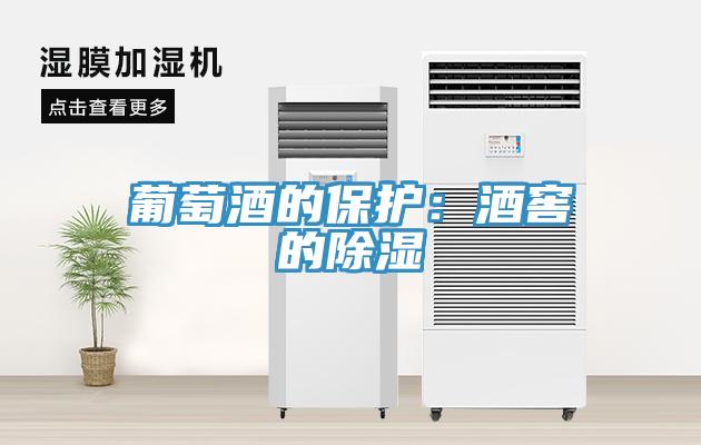 葡萄酒的保护：酒窖的除湿