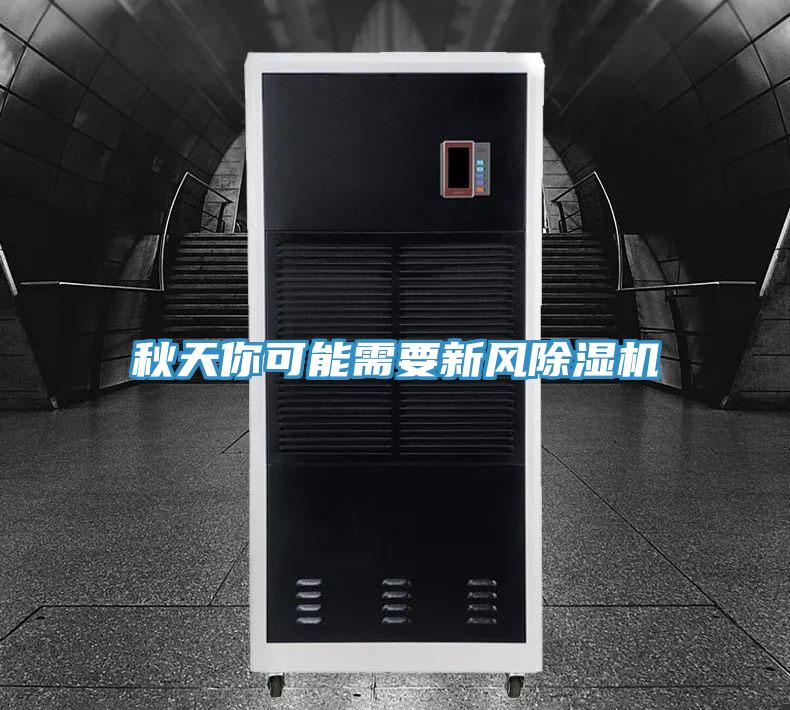 秋天你可能需要新风杏仁直播app最新版下载