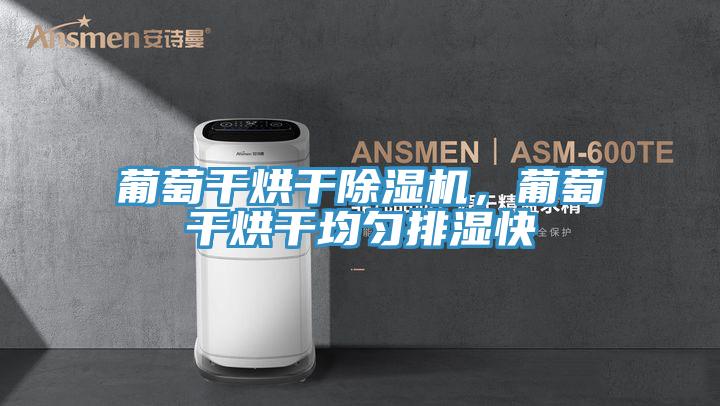 葡萄干烘干杏仁直播app最新版下载，葡萄干烘干均匀排湿快