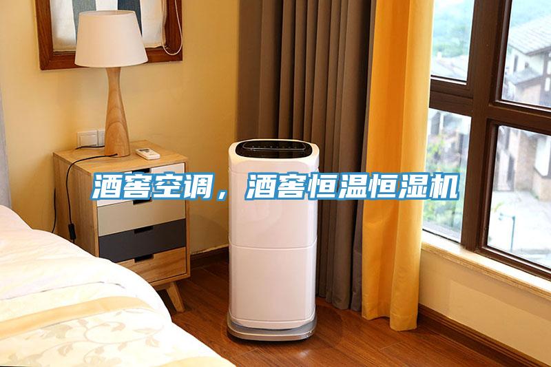 酒窖空调，酒窖恒温恒湿机