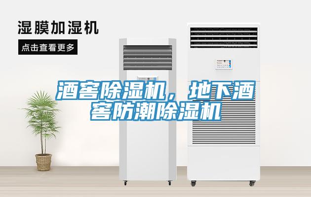 酒窖杏仁直播app最新版下载，地下酒窖防潮杏仁直播app最新版下载