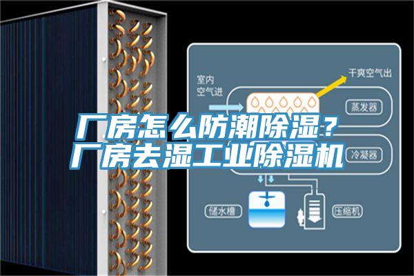 厂房怎么防潮除湿？厂房去湿工业杏仁直播app最新版下载