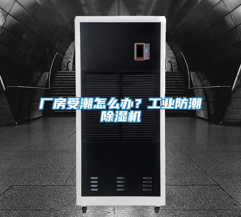 厂房受潮怎么办？工业防潮杏仁直播app最新版下载