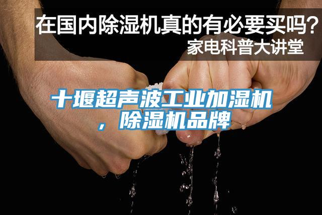 十堰超声波工业加湿机，杏仁直播app最新版下载品牌