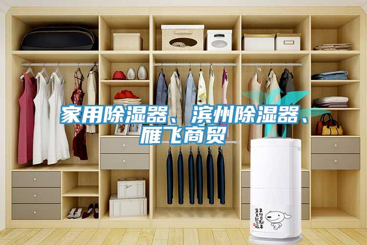 家用除湿器、滨州除湿器、雁飞商贸
