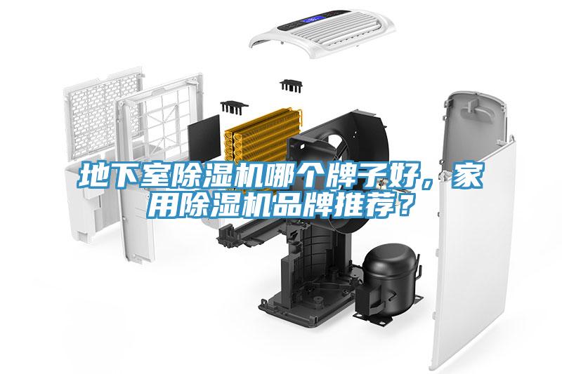 地下室杏仁直播app最新版下载哪个牌子好，家用杏仁直播app最新版下载品牌推荐？