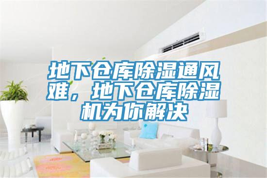 地下仓库除湿通风难，地下仓库杏仁直播app最新版下载为你解决