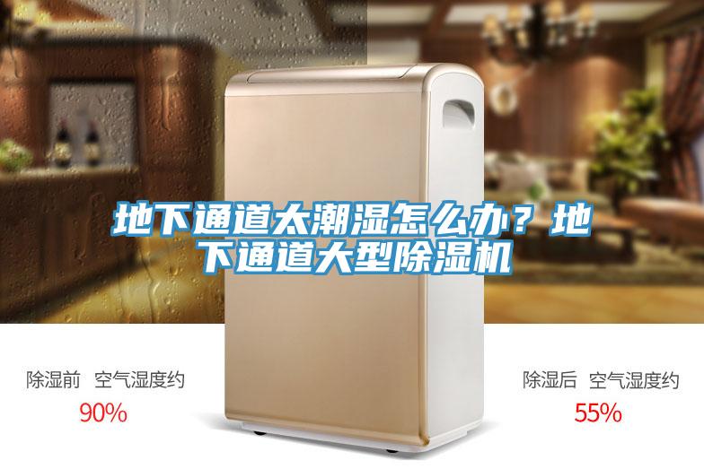 地下通道太潮湿怎么办？地下通道大型杏仁直播app最新版下载