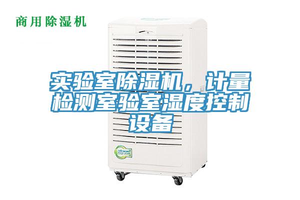 实验室杏仁直播app最新版下载，计量检测室验室湿度控制设备