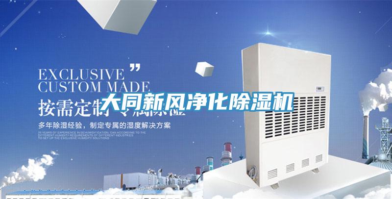 大同新风净化杏仁直播app最新版下载