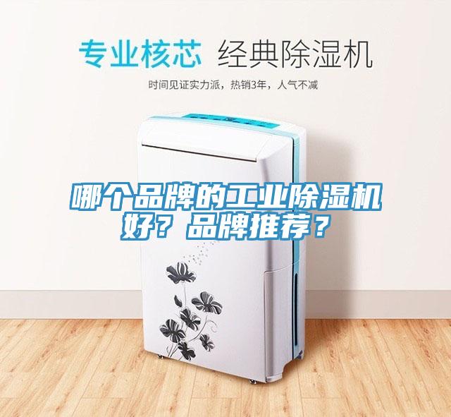 哪个品牌的工业杏仁直播app最新版下载好？品牌推荐？