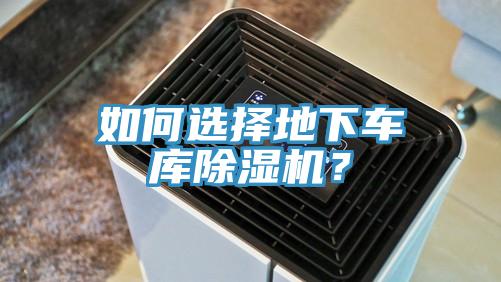 如何选择地下车库杏仁直播app最新版下载？