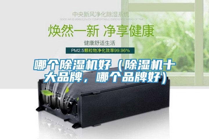 哪个杏仁直播app最新版下载好（杏仁直播app最新版下载十大品牌，哪个品牌好）