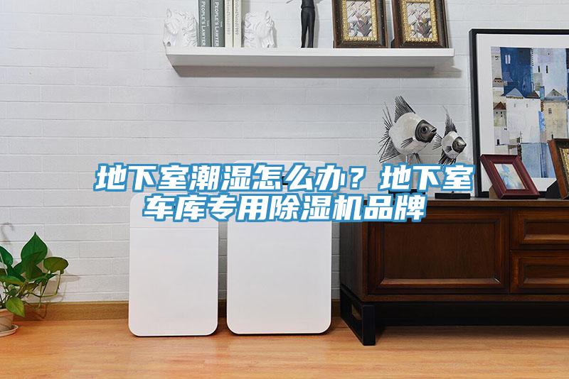 地下室潮湿怎么办？地下室车库专用杏仁直播app最新版下载品牌