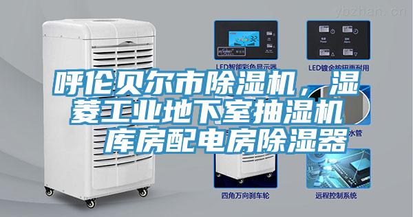 呼伦贝尔市杏仁直播app最新版下载，湿菱工业地下室抽湿机  库房配电房除湿器