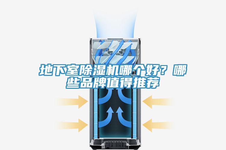 地下室杏仁直播app最新版下载哪个好？哪些品牌值得推荐
