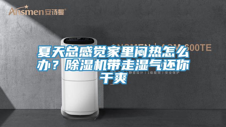 夏天总感觉家里闷热怎么办？杏仁直播app最新版下载带走湿气还你干爽