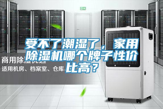 受不了潮湿了，家用杏仁直播app最新版下载哪个牌子性价比高？