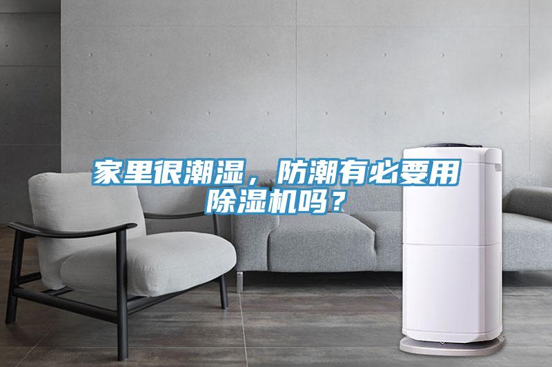 家里很潮湿，防潮有必要用杏仁直播app最新版下载吗？
