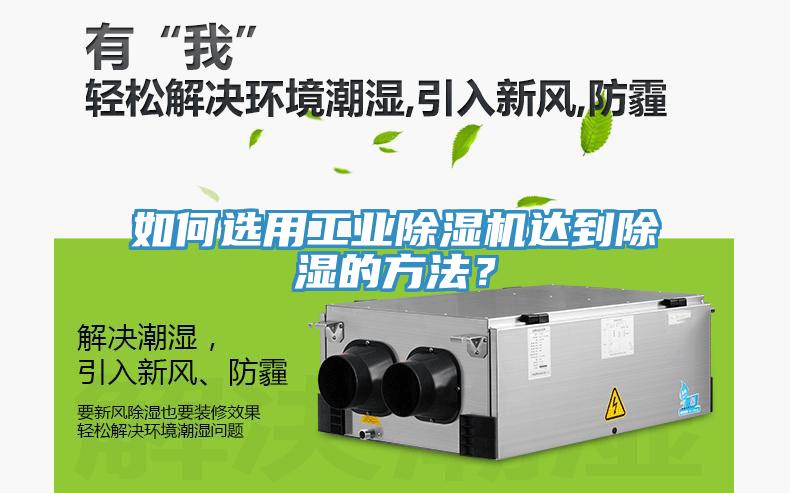 如何选用工业杏仁直播app最新版下载达到除湿的方法？
