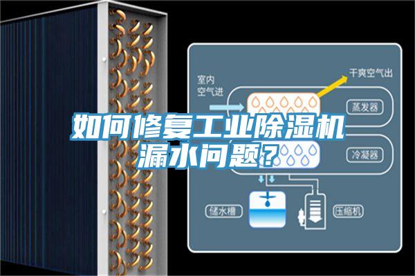 如何修复工业杏仁直播app最新版下载漏水问题？
