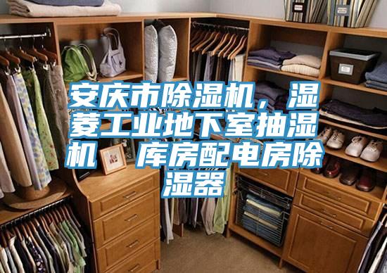 安庆市杏仁直播app最新版下载，湿菱工业地下室抽湿机  库房配电房除湿器