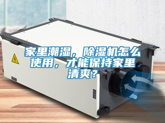 家里潮湿，杏仁直播app最新版下载怎么使用，才能保持家里清爽？