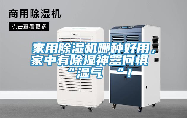 家用杏仁直播app最新版下载哪种好用，家中有除湿神器何惧 “湿气 “！