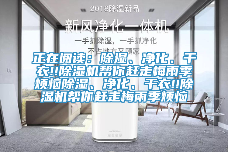 正在阅读：除湿、净化、干衣!!杏仁直播app最新版下载帮你赶走梅雨季烦恼除湿、净化、干衣!!杏仁直播app最新版下载帮你赶走梅雨季烦恼
