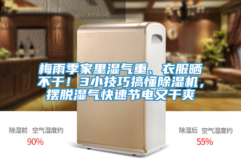 梅雨季家里湿气重、衣服晒不干！3小技巧搞懂杏仁直播app最新版下载，摆脱湿气快速节电又干爽