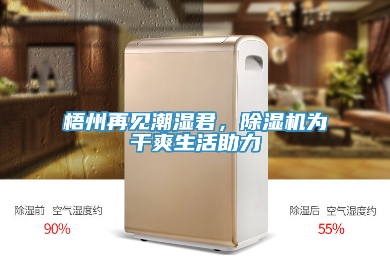 梧州再见潮湿君，杏仁直播app最新版下载为干爽生活助力