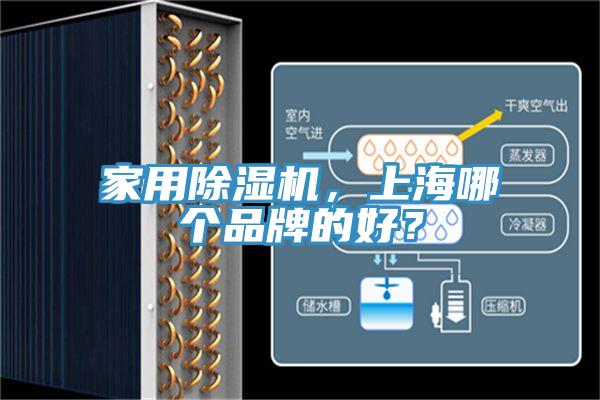 家用杏仁直播app最新版下载，上海哪个品牌的好？