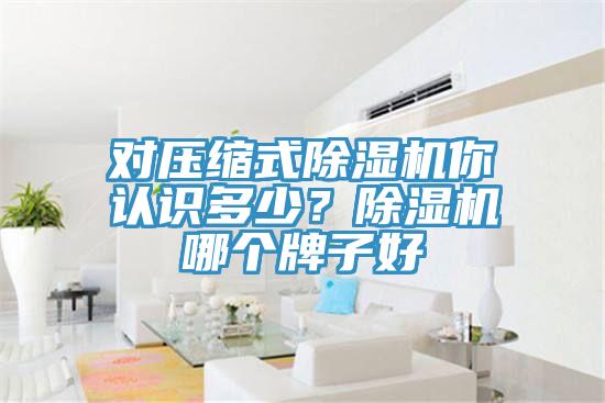 对压缩式杏仁直播app最新版下载你认识多少？杏仁直播app最新版下载哪个牌子好