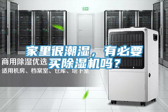 家里很潮湿，有必要买杏仁直播app最新版下载吗？