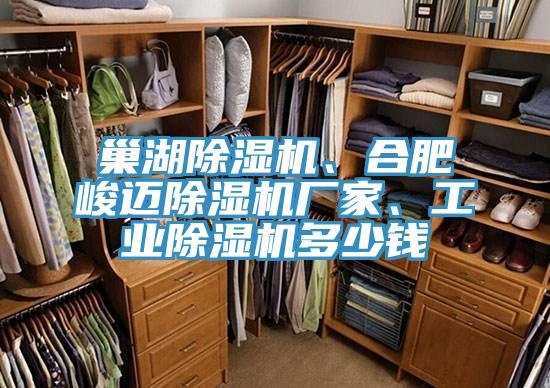 巢湖杏仁直播app最新版下载、合肥峻迈杏仁直播app最新版下载厂家、工业杏仁直播app最新版下载多少钱
